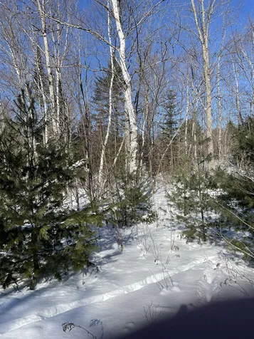 11 Hydro Road Bethlehem NH 03574