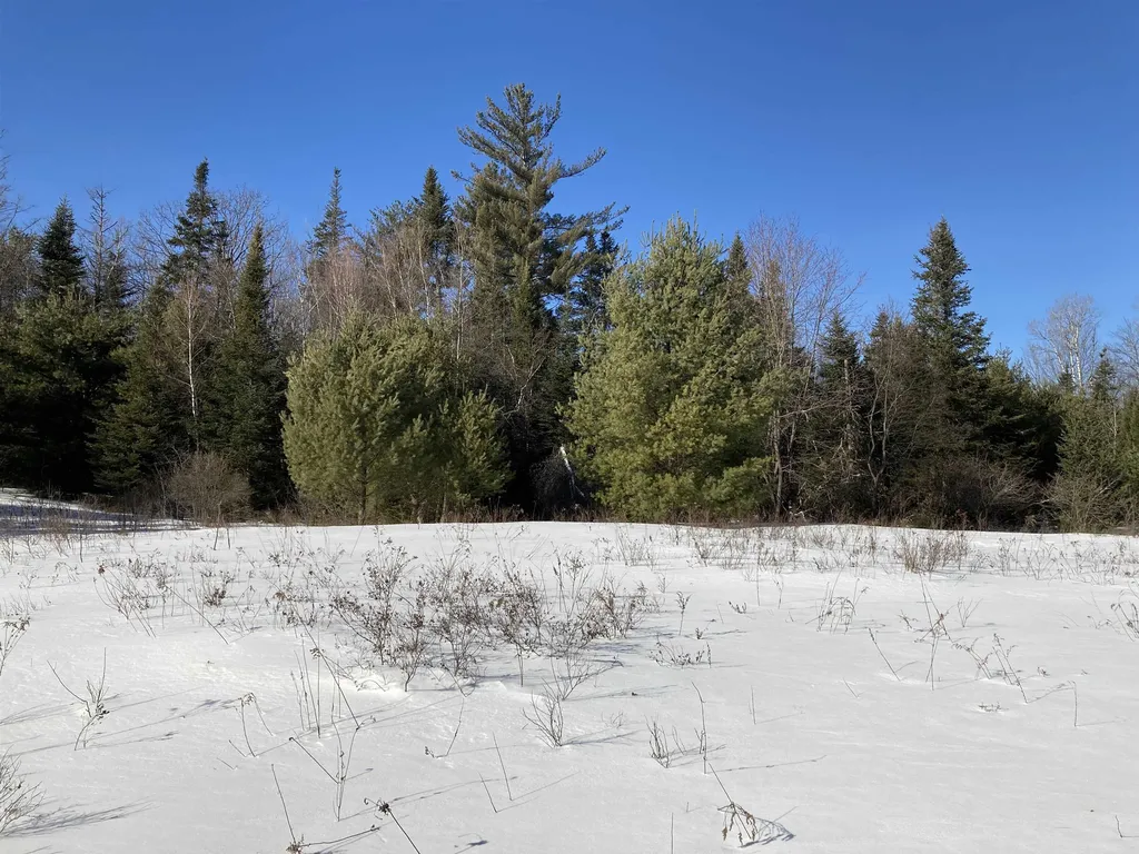 0 Nh Route 118 Canaan NH 03741