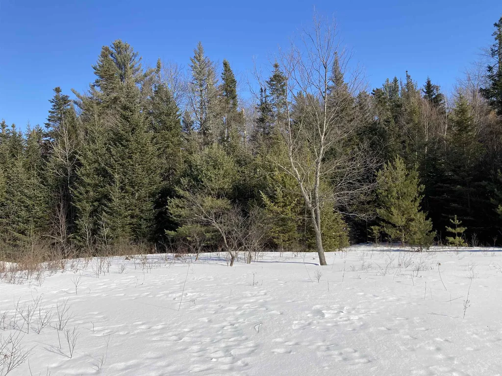 0 Nh Route 118 Canaan NH 03741
