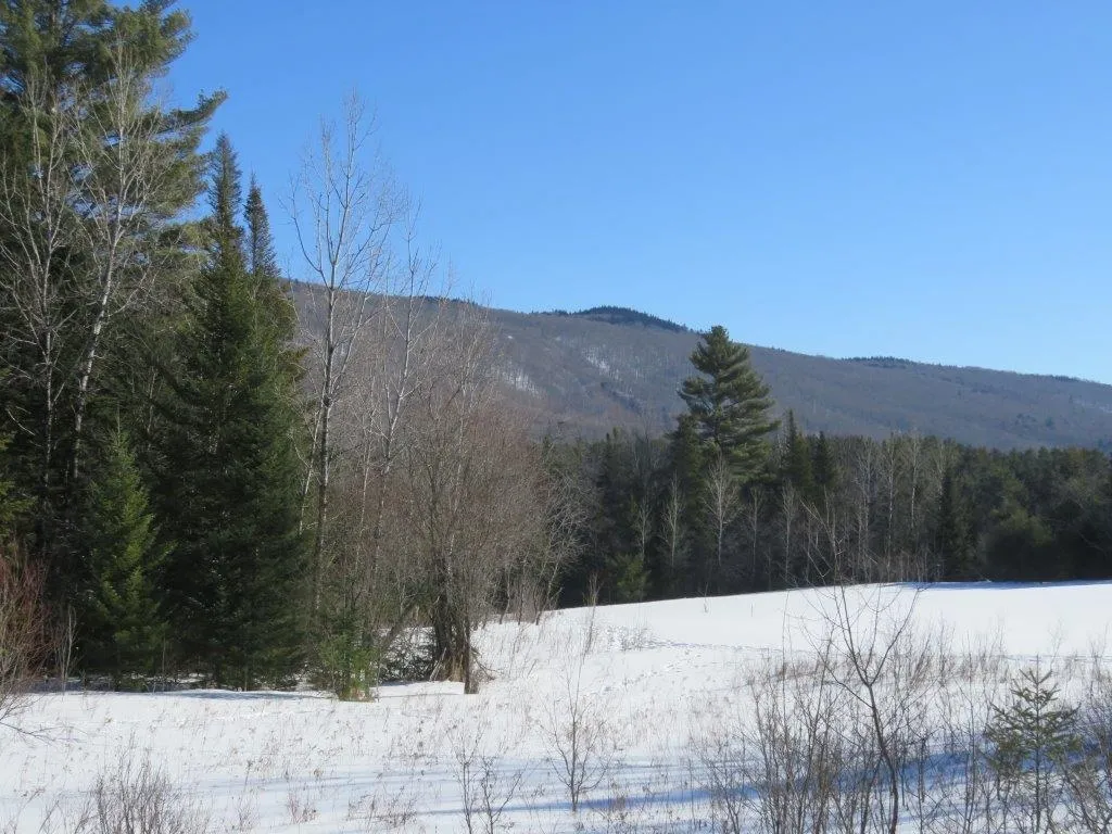 0 Nh Route 118 Canaan NH 03741