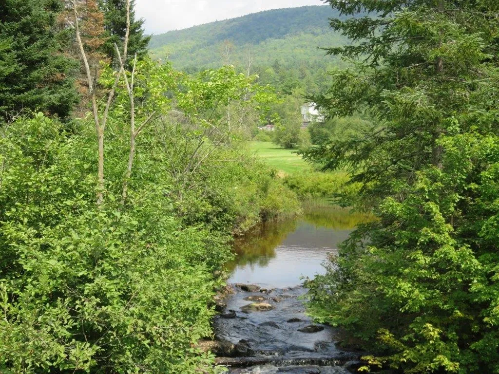 0 Nh Route 118 Canaan NH 03741