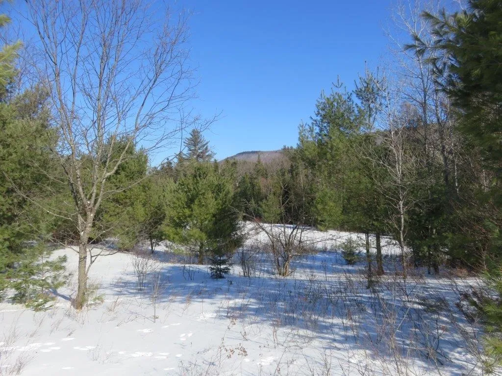 0 Nh Route 118 Canaan NH 03741