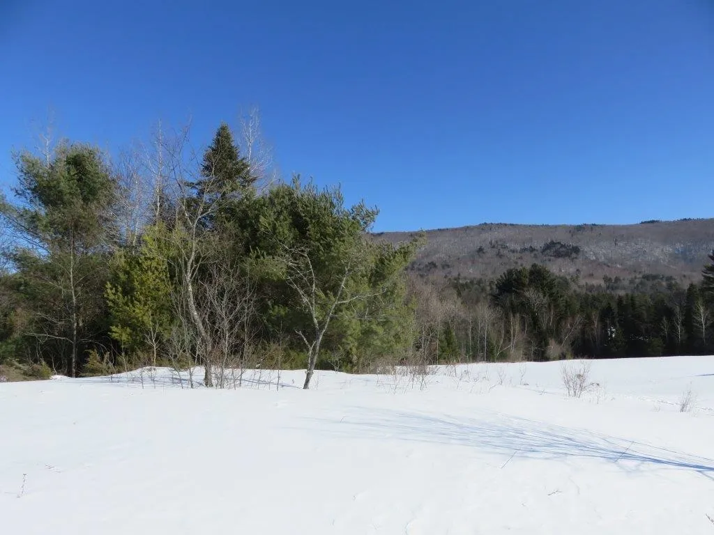 0 Nh Route 118 Canaan NH 03741