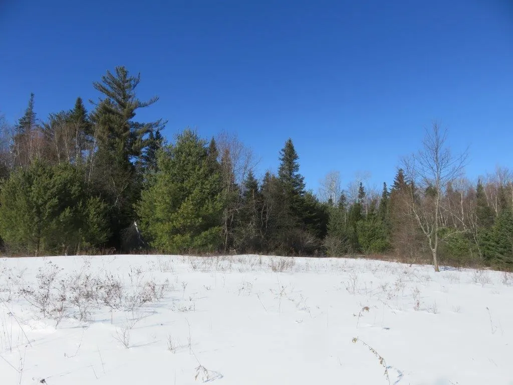 0 Nh Route 118 Canaan NH 03741