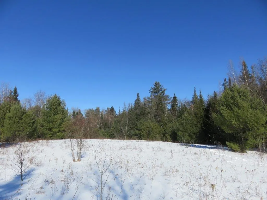 0 Nh Route 118 Canaan NH 03741