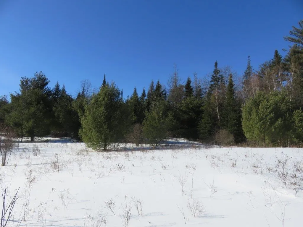 0 Nh Route 118 Canaan NH 03741