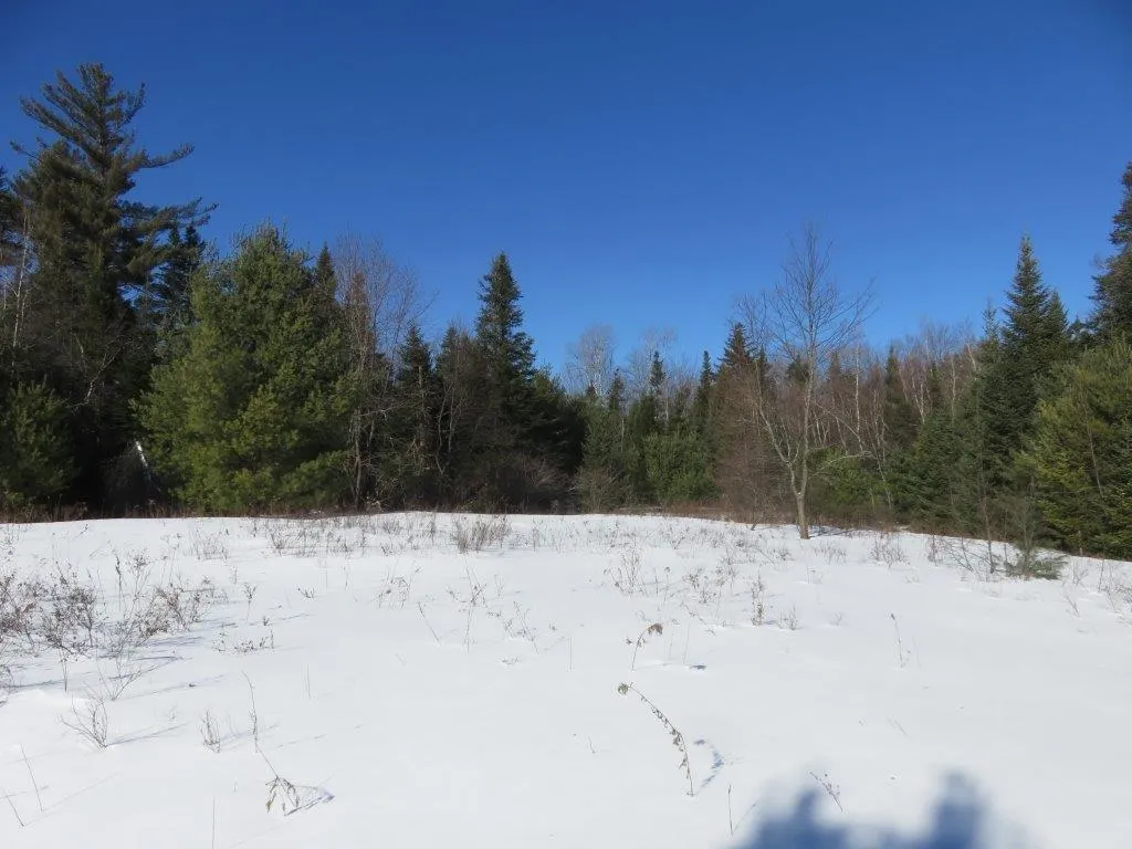 0 Nh Route 118 Canaan NH 03741