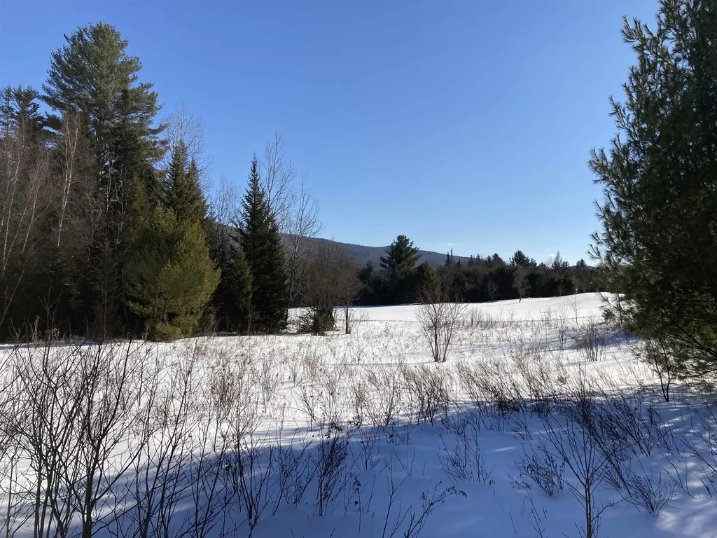 0 Nh Route 118 Canaan NH 03741