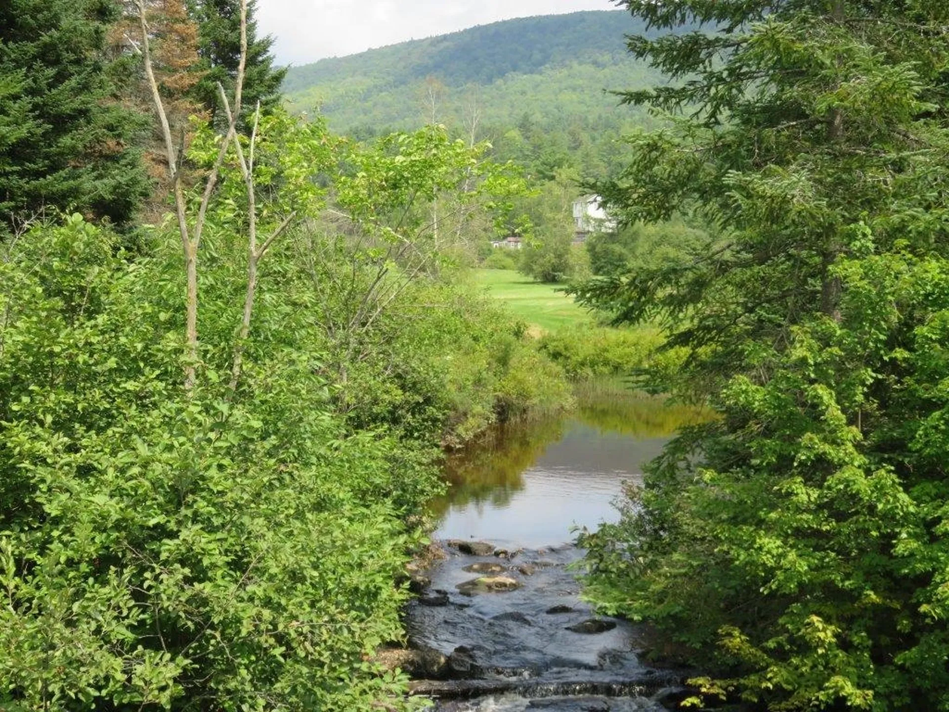 0 Nh Route 118 Canaan NH 03741