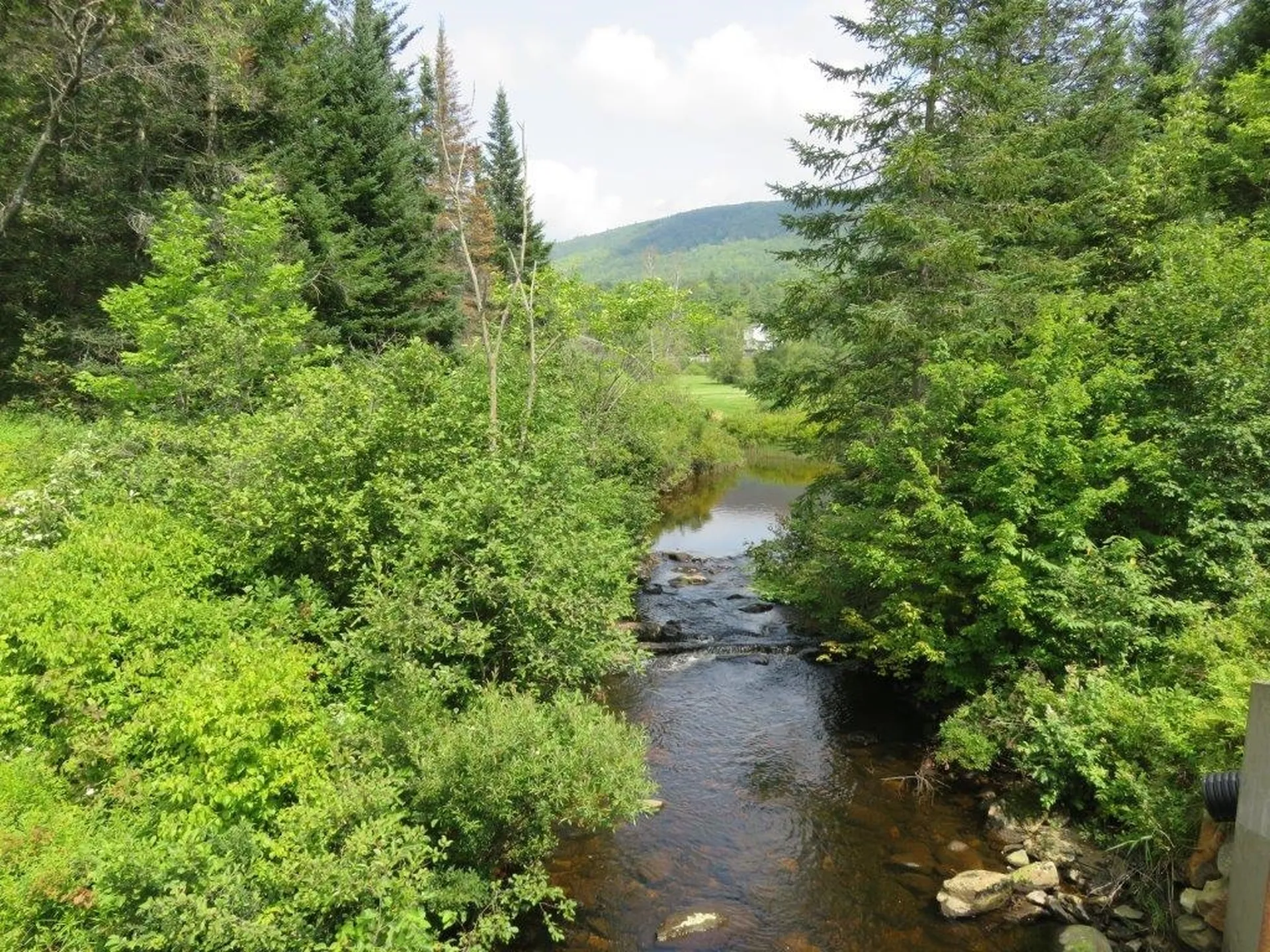 0 Nh Route 118 Canaan NH 03741