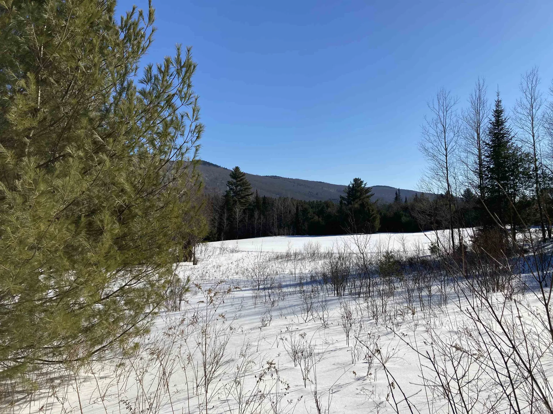 0 Nh Route 118 Canaan NH 03741