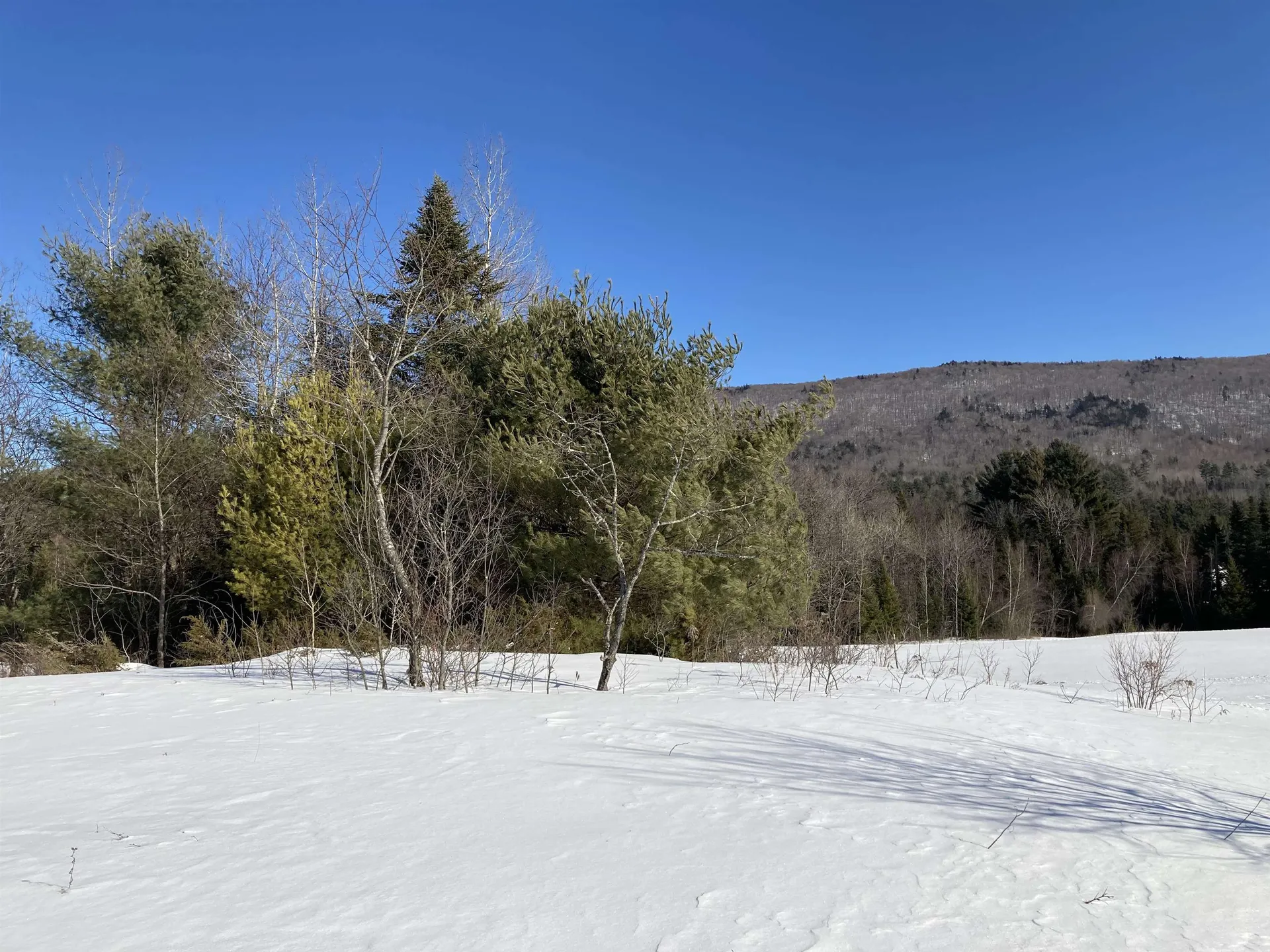0 Nh Route 118 Canaan NH 03741