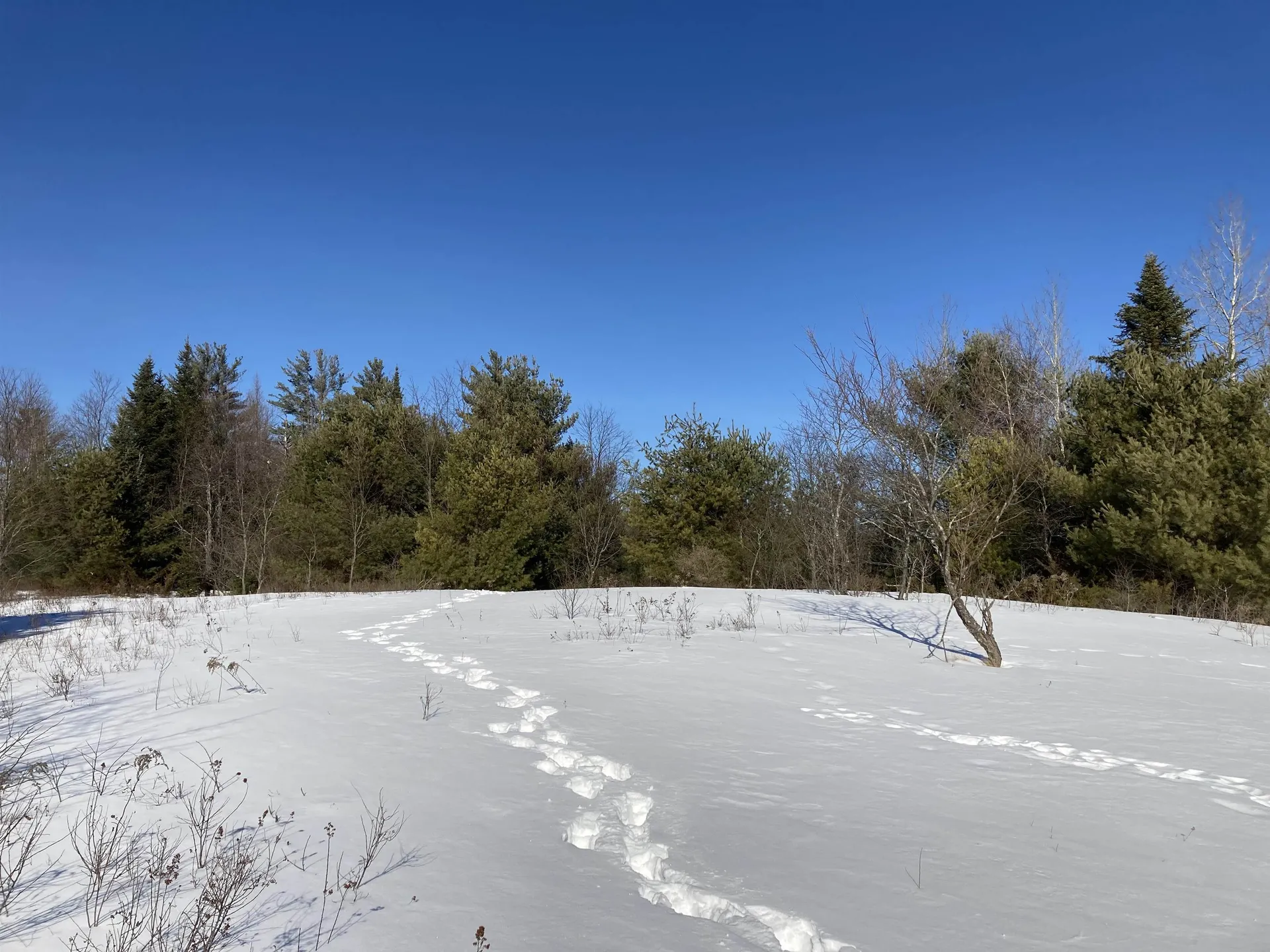0 Nh Route 118 Canaan NH 03741