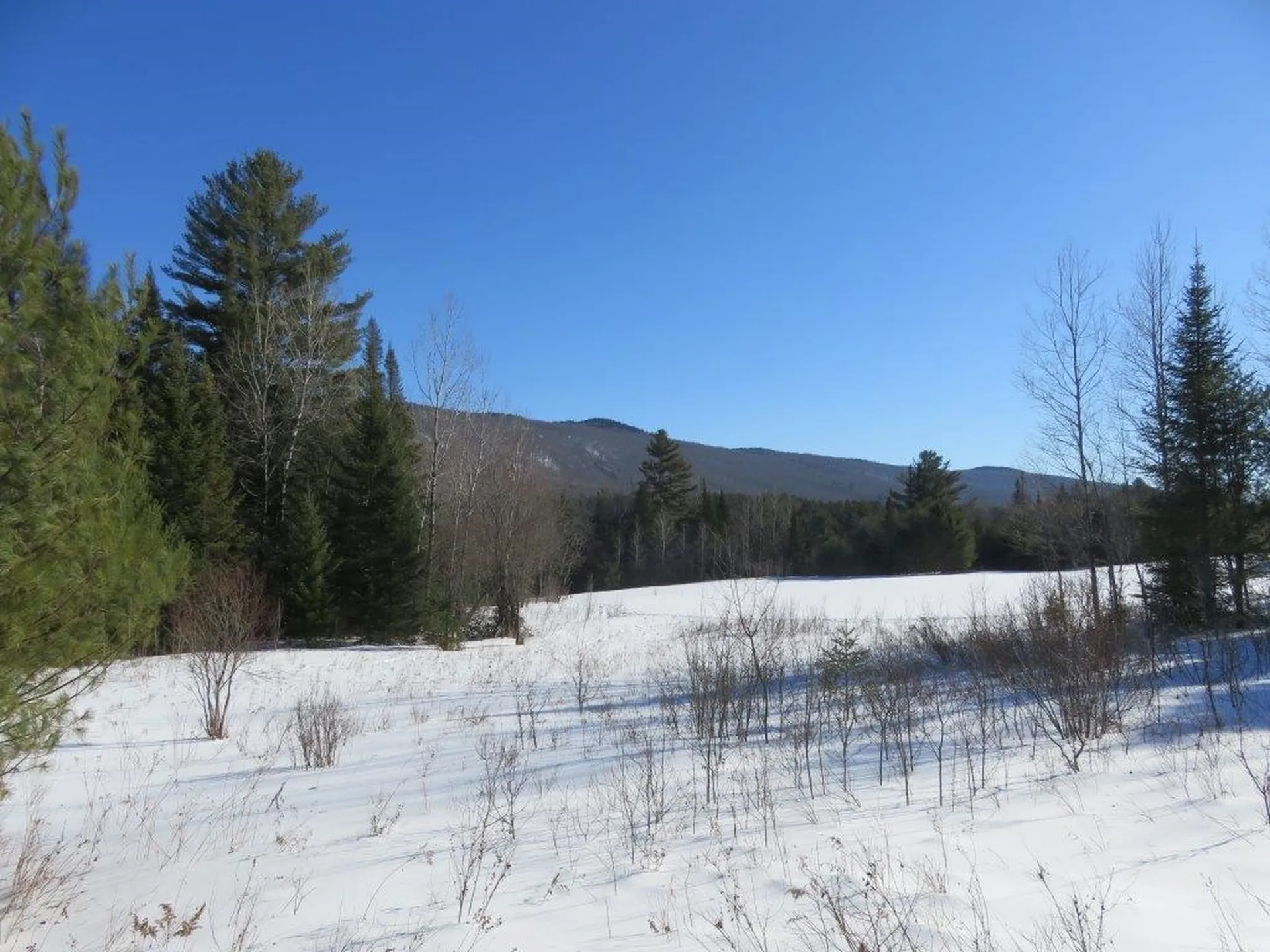 0 Nh Route 118 Canaan NH 03741