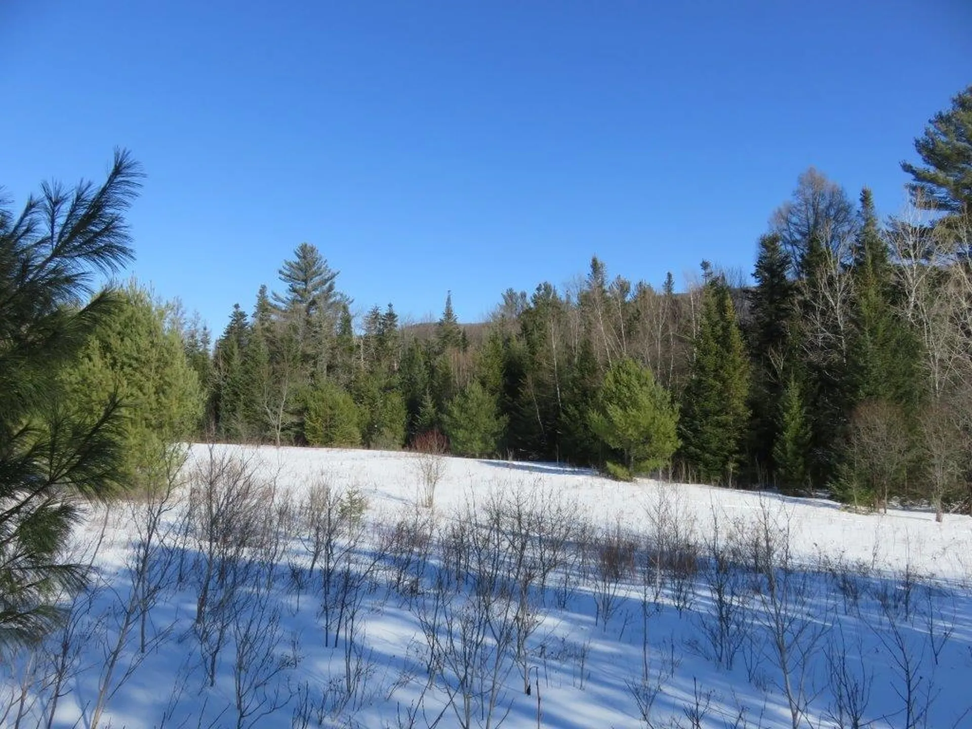0 Nh Route 118 Canaan NH 03741