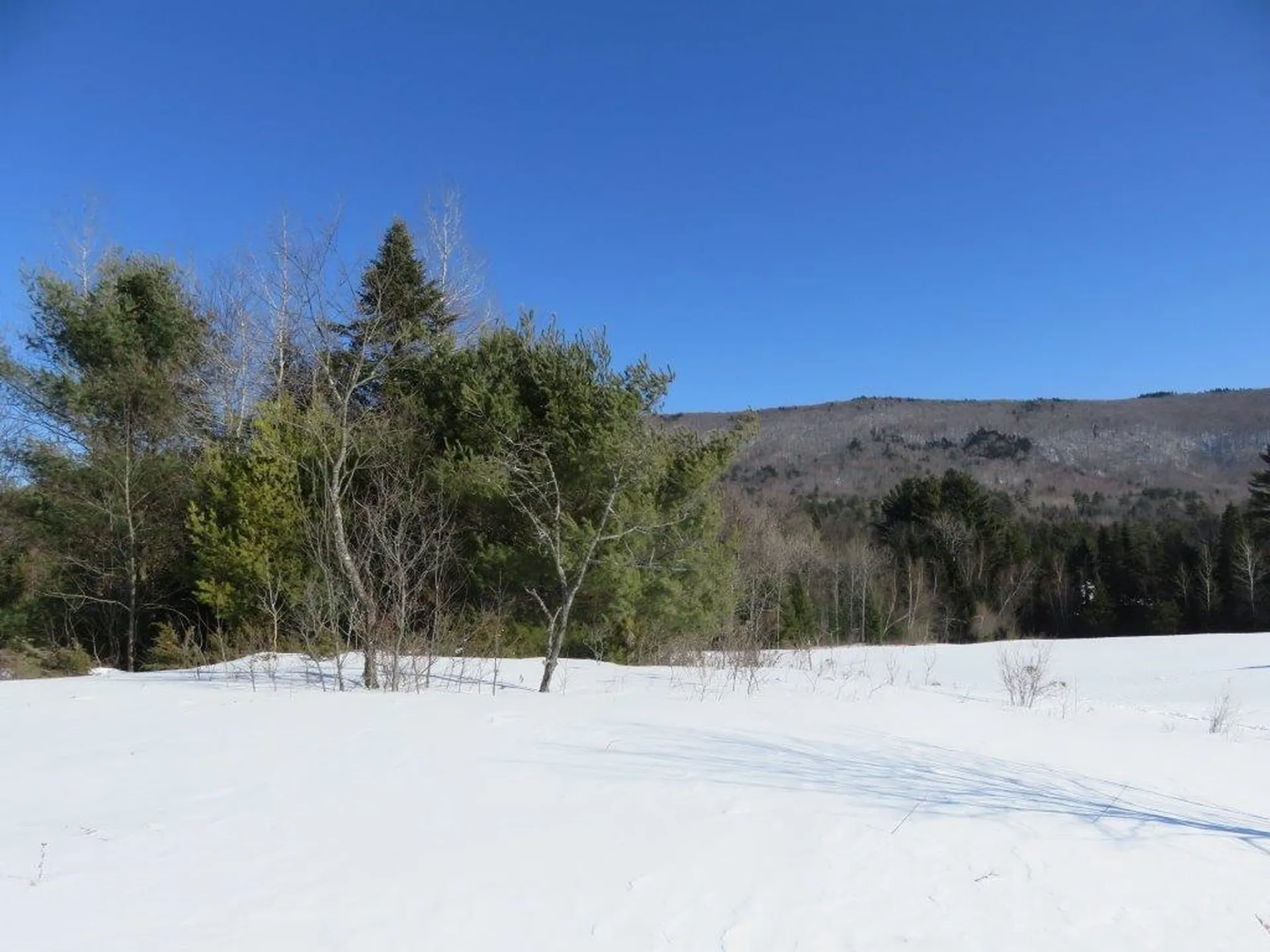 0 Nh Route 118 Canaan NH 03741