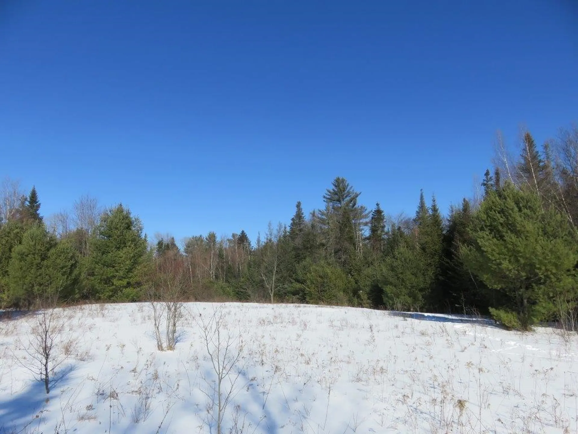 0 Nh Route 118 Canaan NH 03741