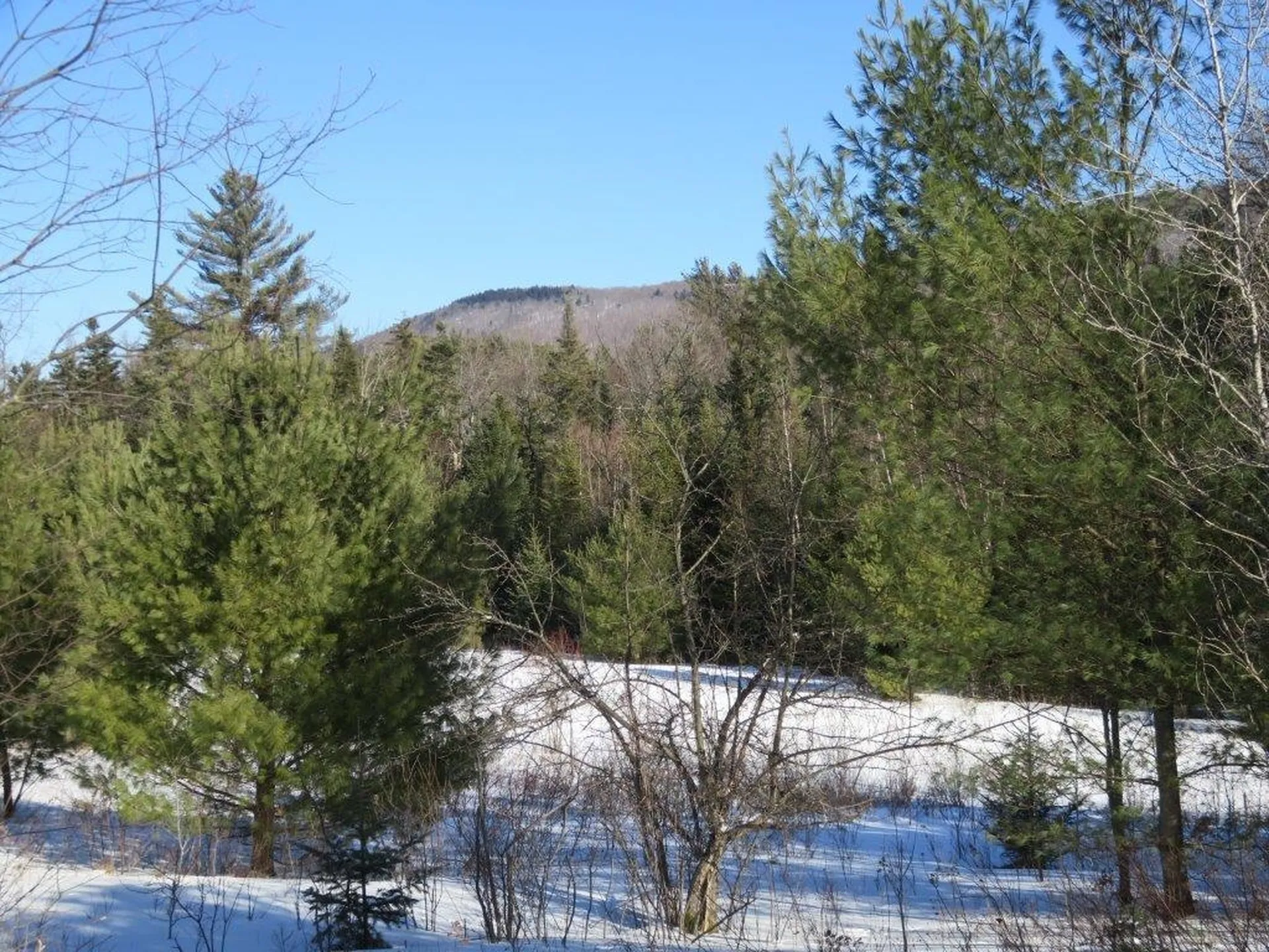 0 Nh Route 118 Canaan NH 03741