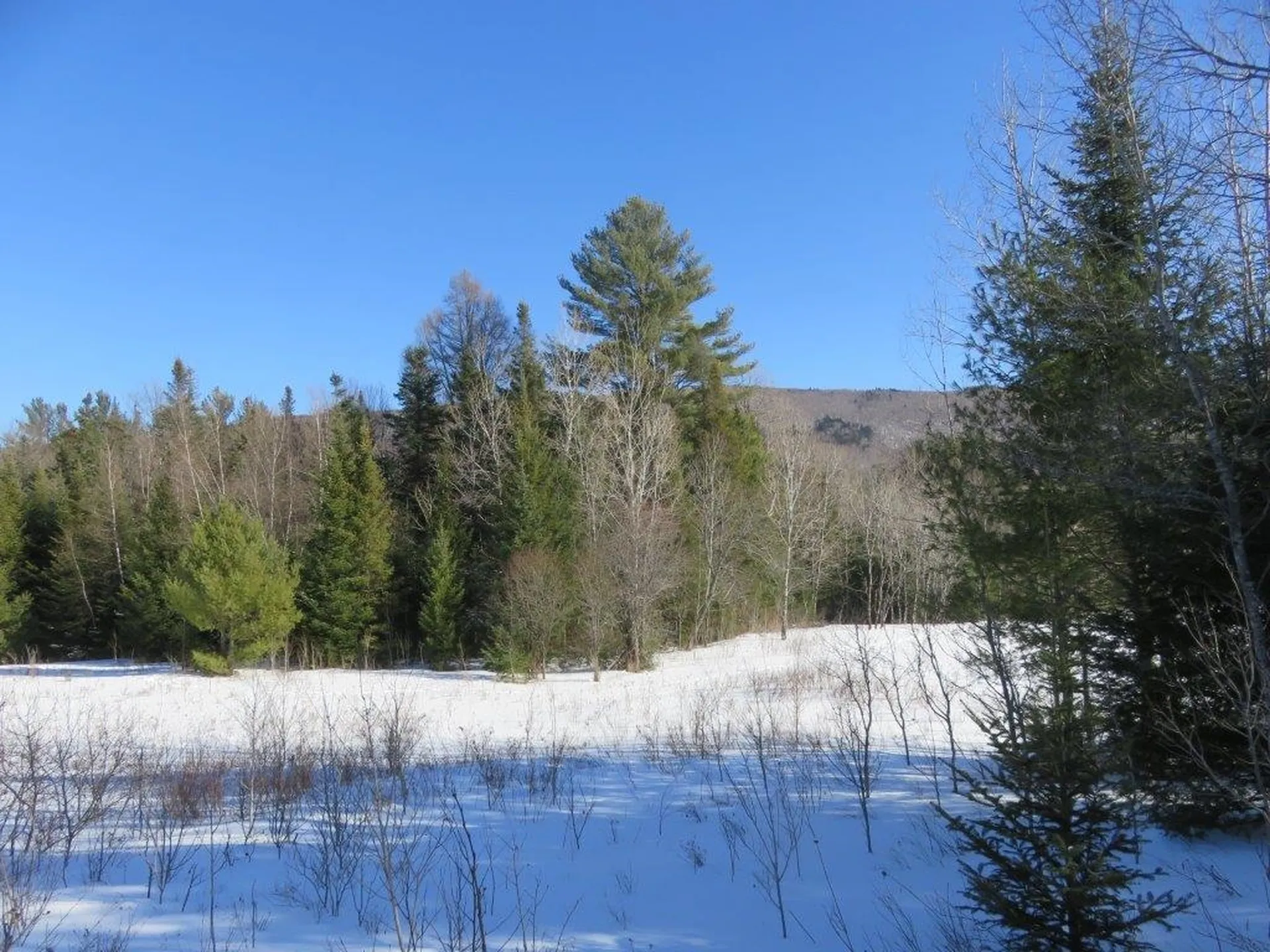 0 Nh Route 118 Canaan NH 03741