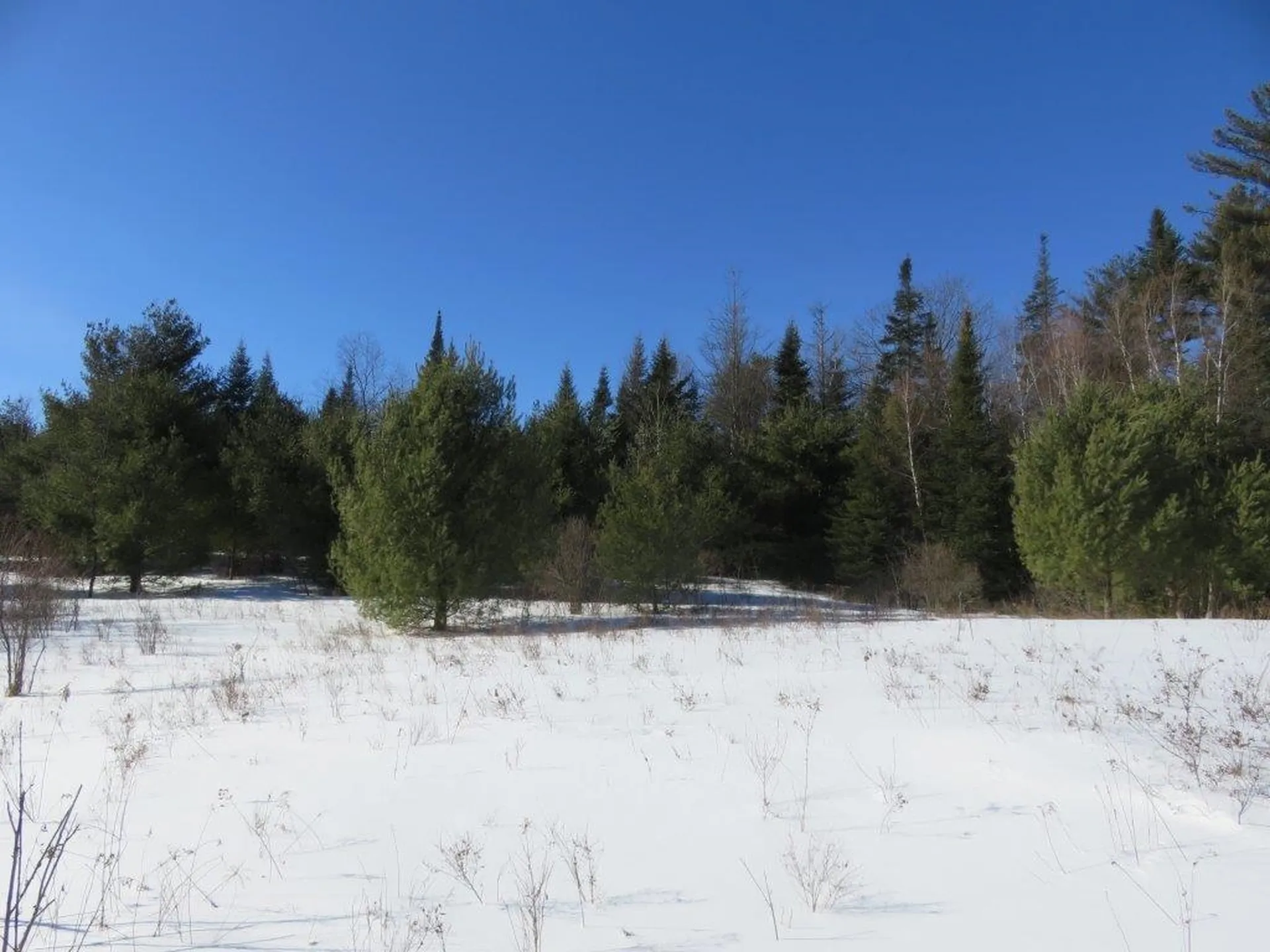 0 Nh Route 118 Canaan NH 03741