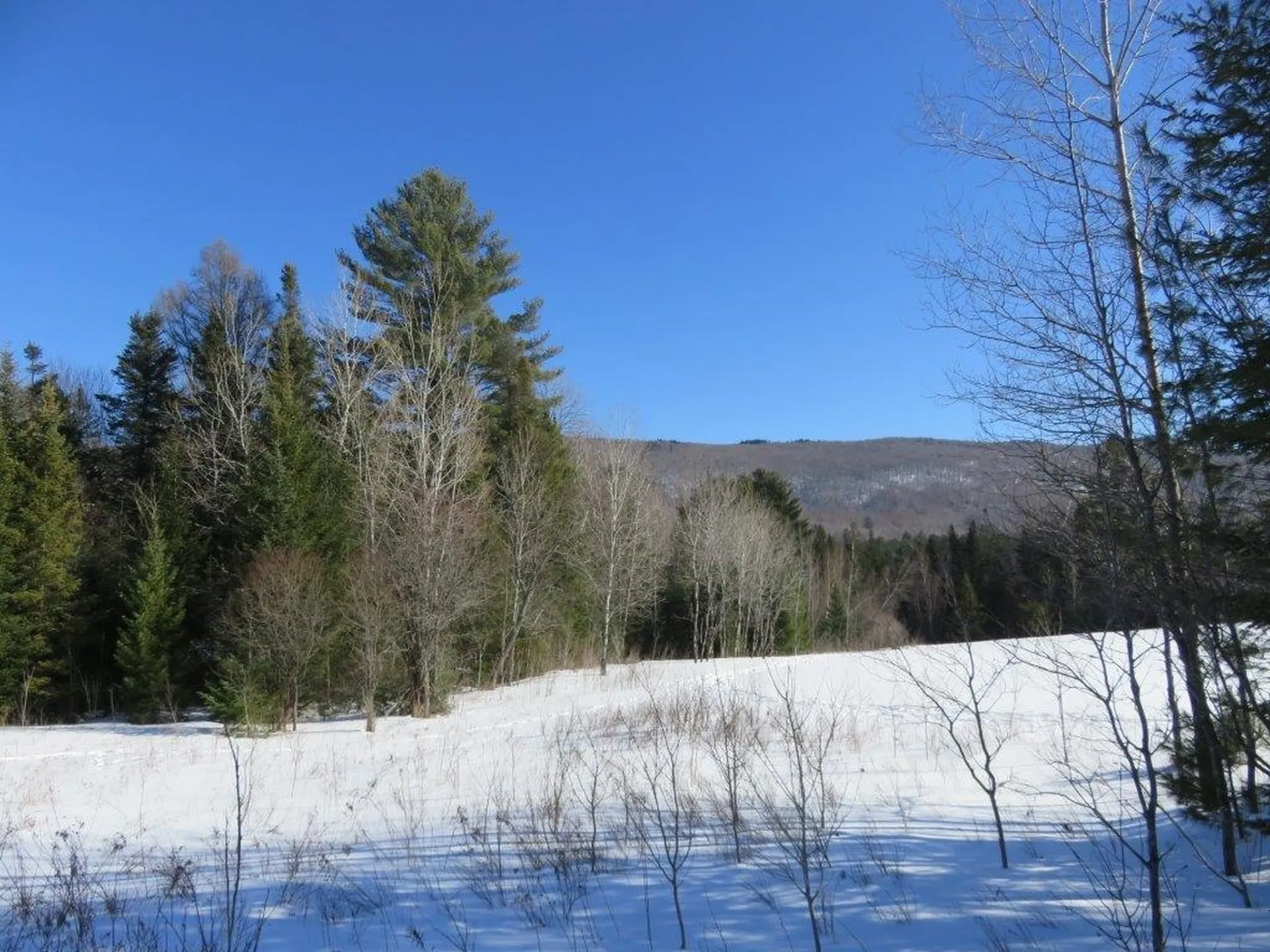 0 Nh Route 118 Canaan NH 03741