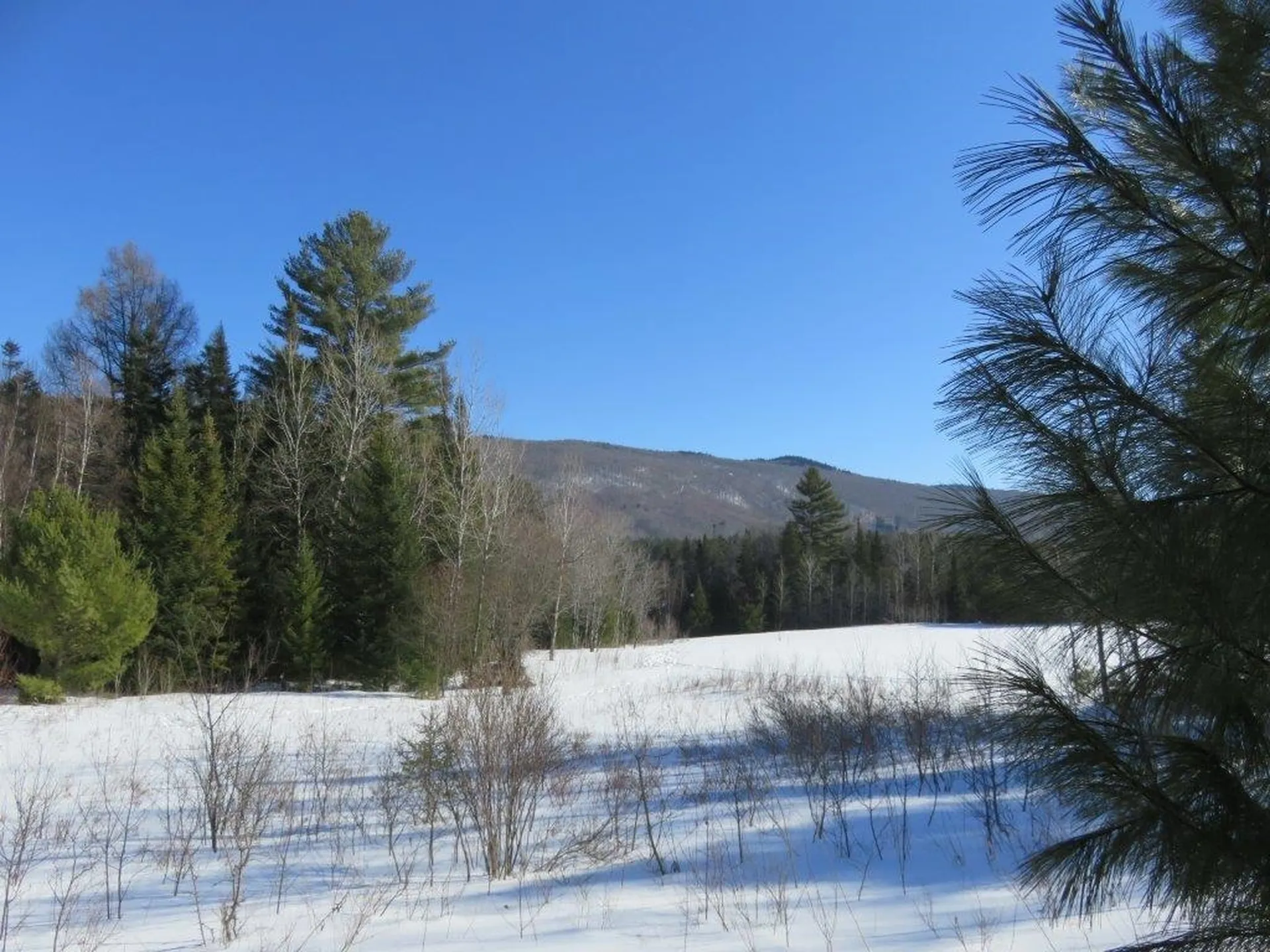 0 Nh Route 118 Canaan NH 03741