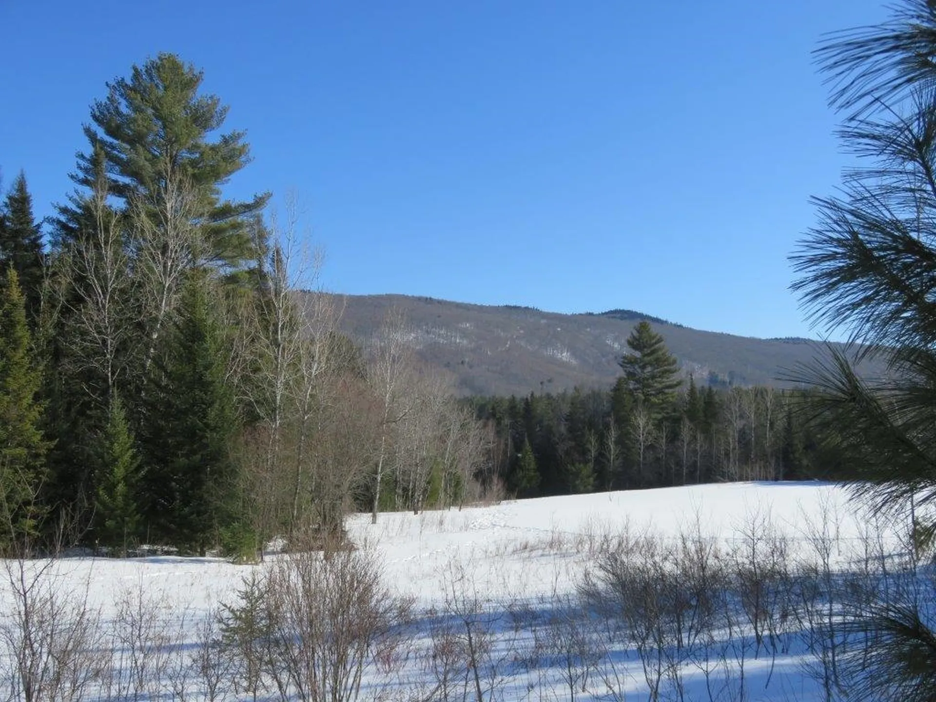 0 Nh Route 118 Canaan NH 03741