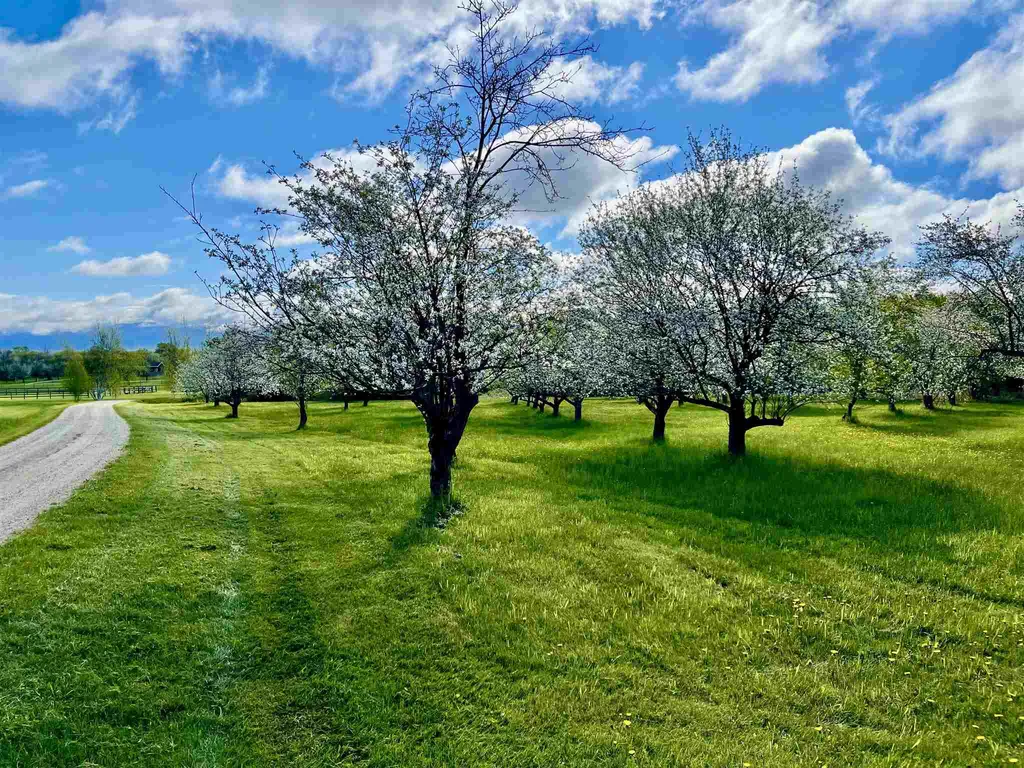 Tbd N. Bingham Street Cornwall VT 05753