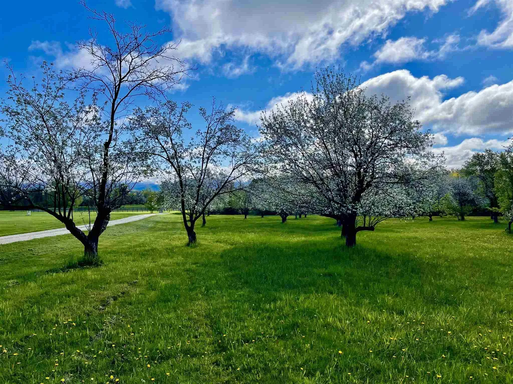 Tbd N. Bingham Street Cornwall VT 05753