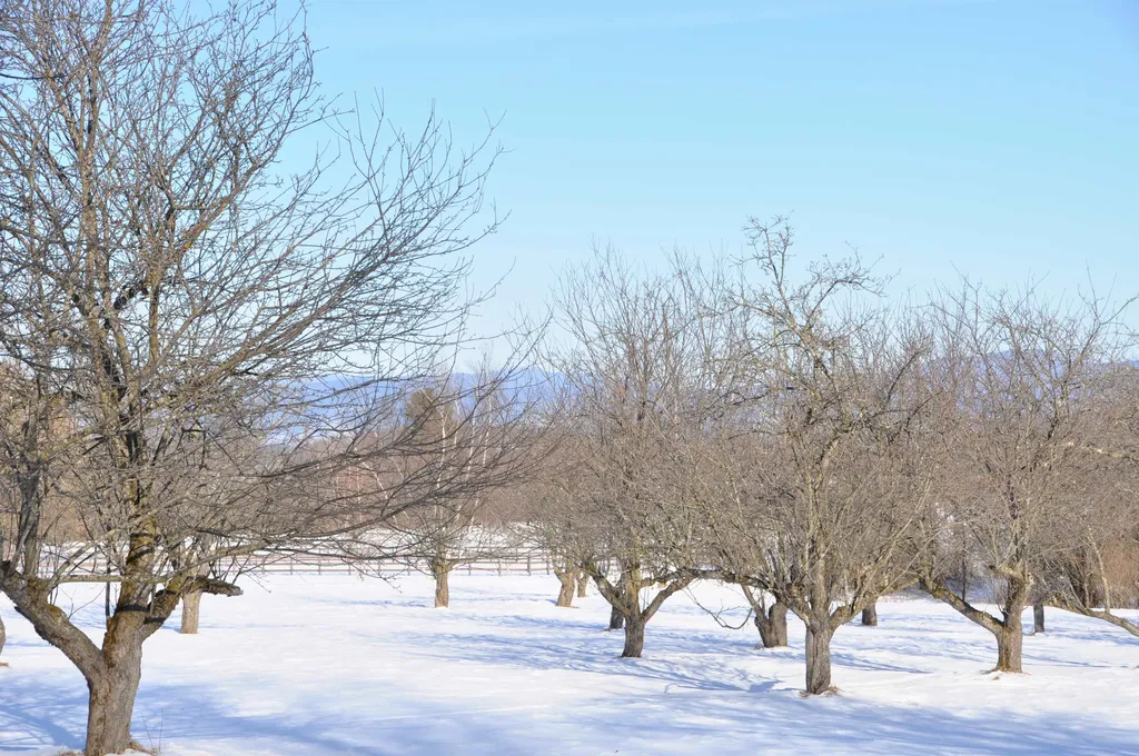 Tbd N. Bingham Street Cornwall VT 05753