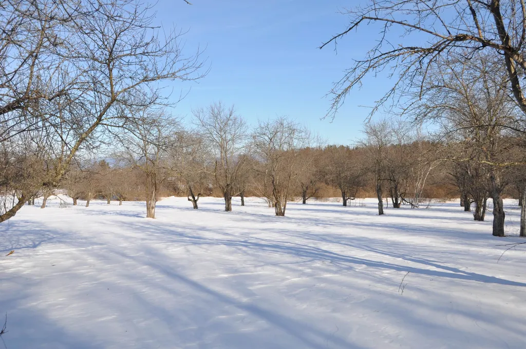 Tbd N. Bingham Street Cornwall VT 05753