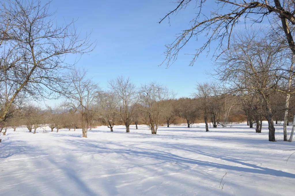 Tbd N. Bingham Street Cornwall VT 05753