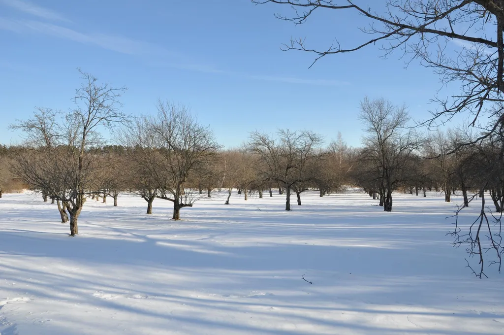 Tbd N. Bingham Street Cornwall VT 05753