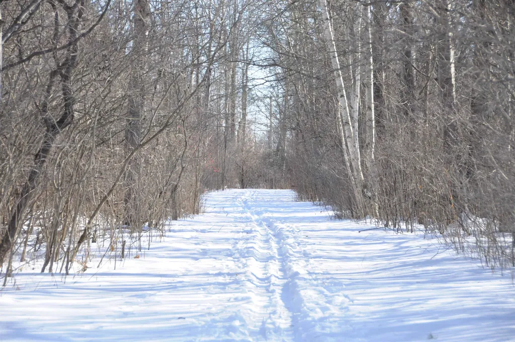 Tbd N. Bingham Street Cornwall VT 05753