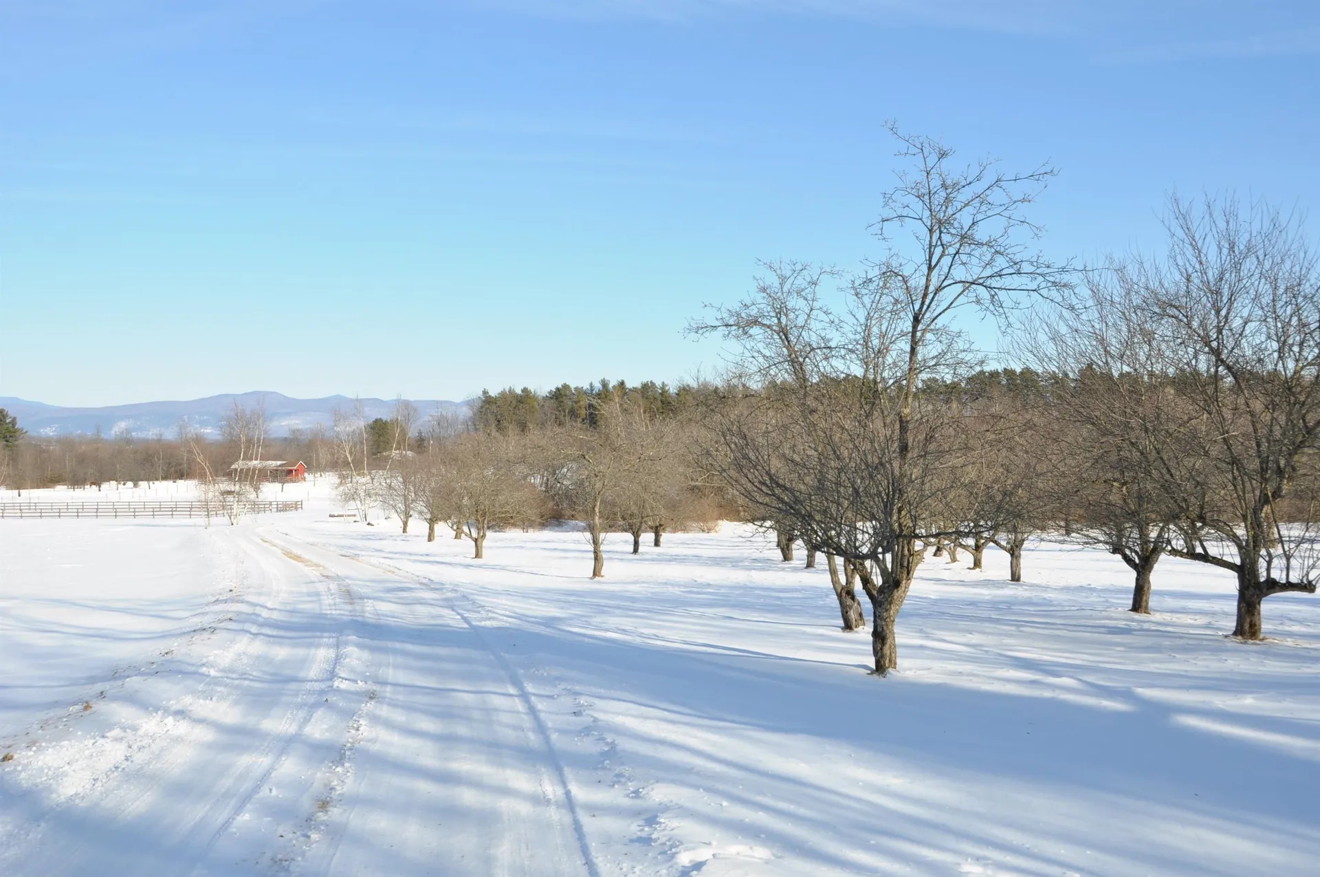 Tbd N. Bingham Street Cornwall VT 05753