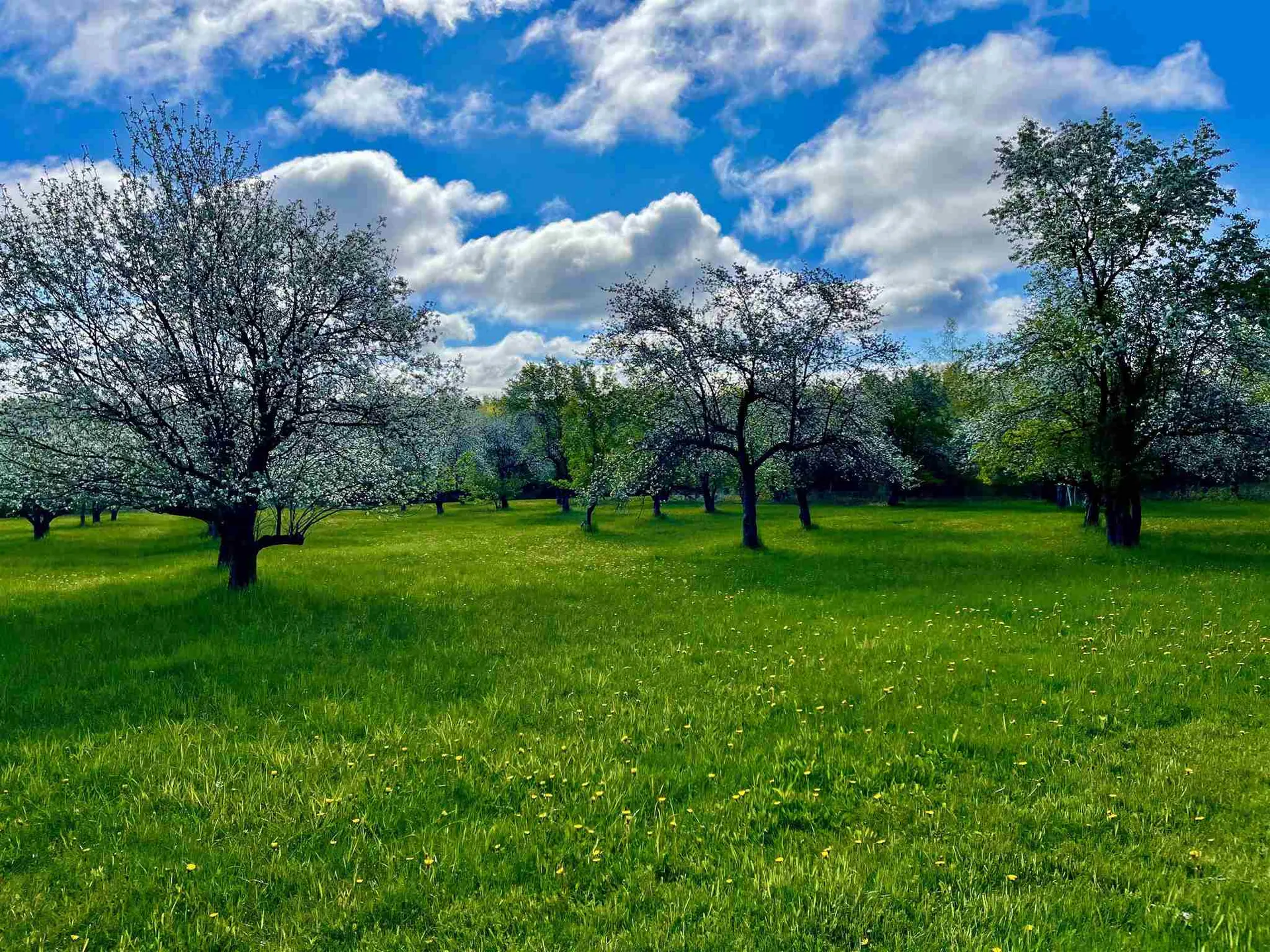 Tbd N. Bingham Street Cornwall VT 05753