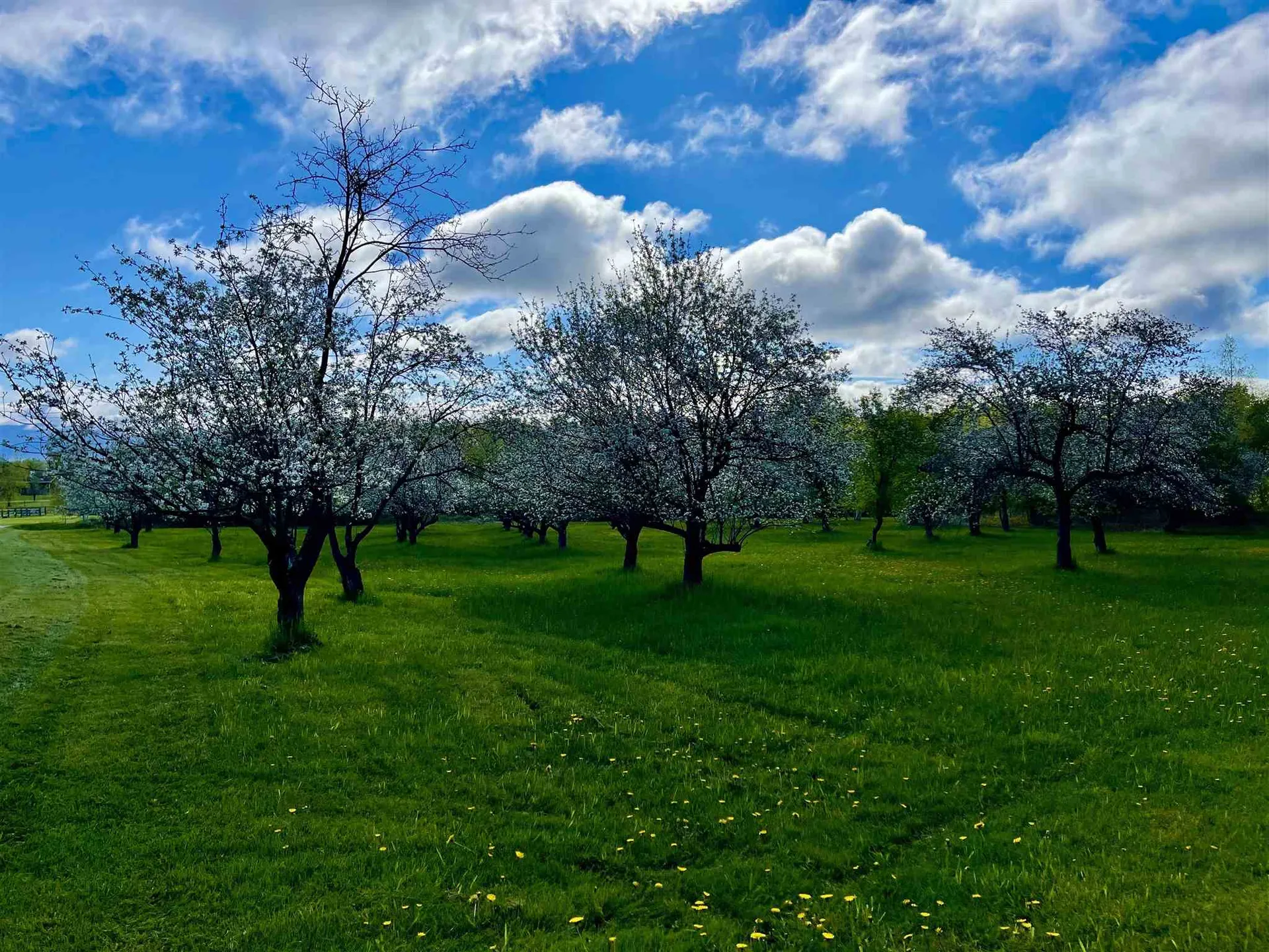 Tbd N. Bingham Street Cornwall VT 05753