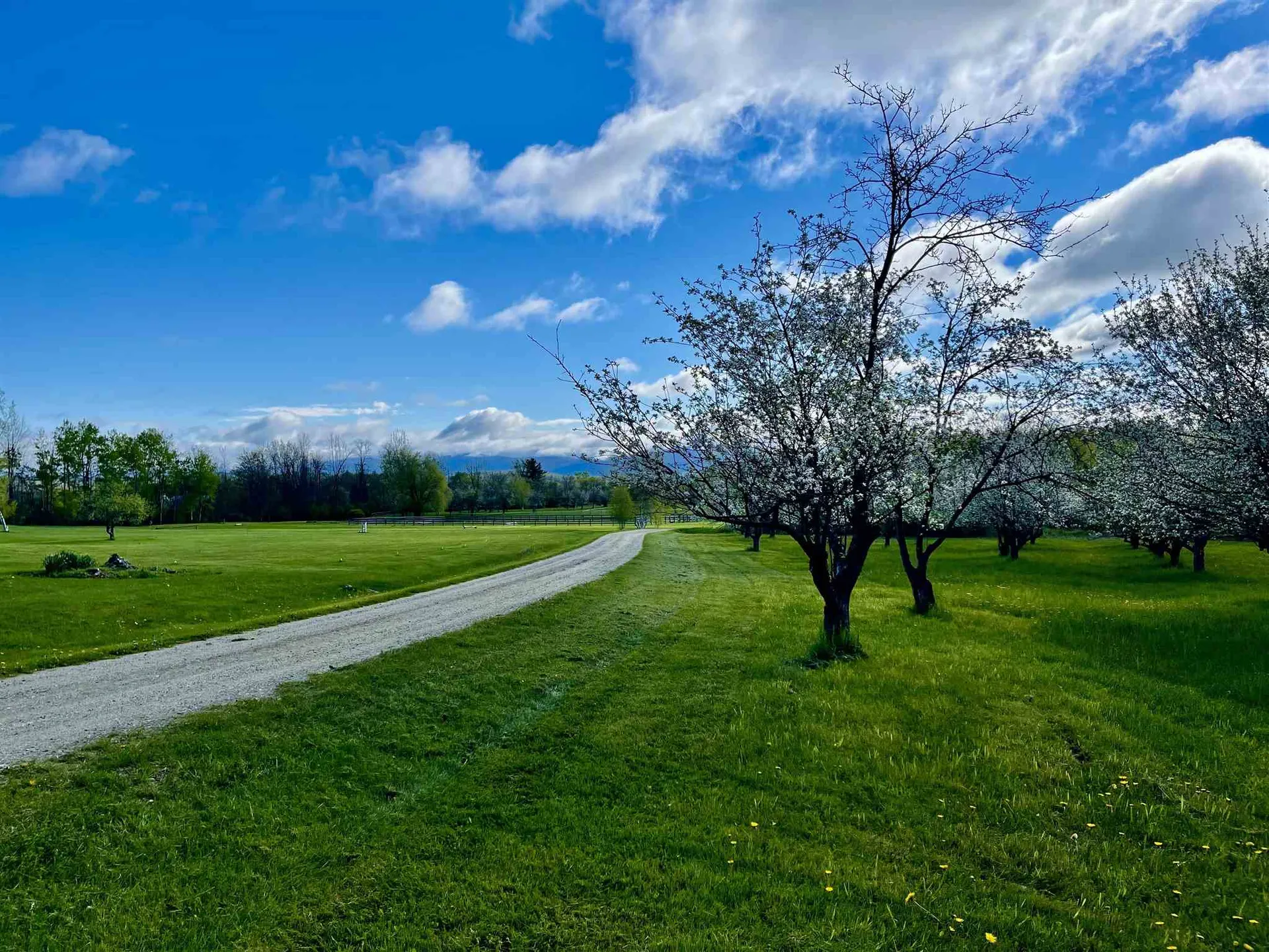 Tbd N. Bingham Street Cornwall VT 05753