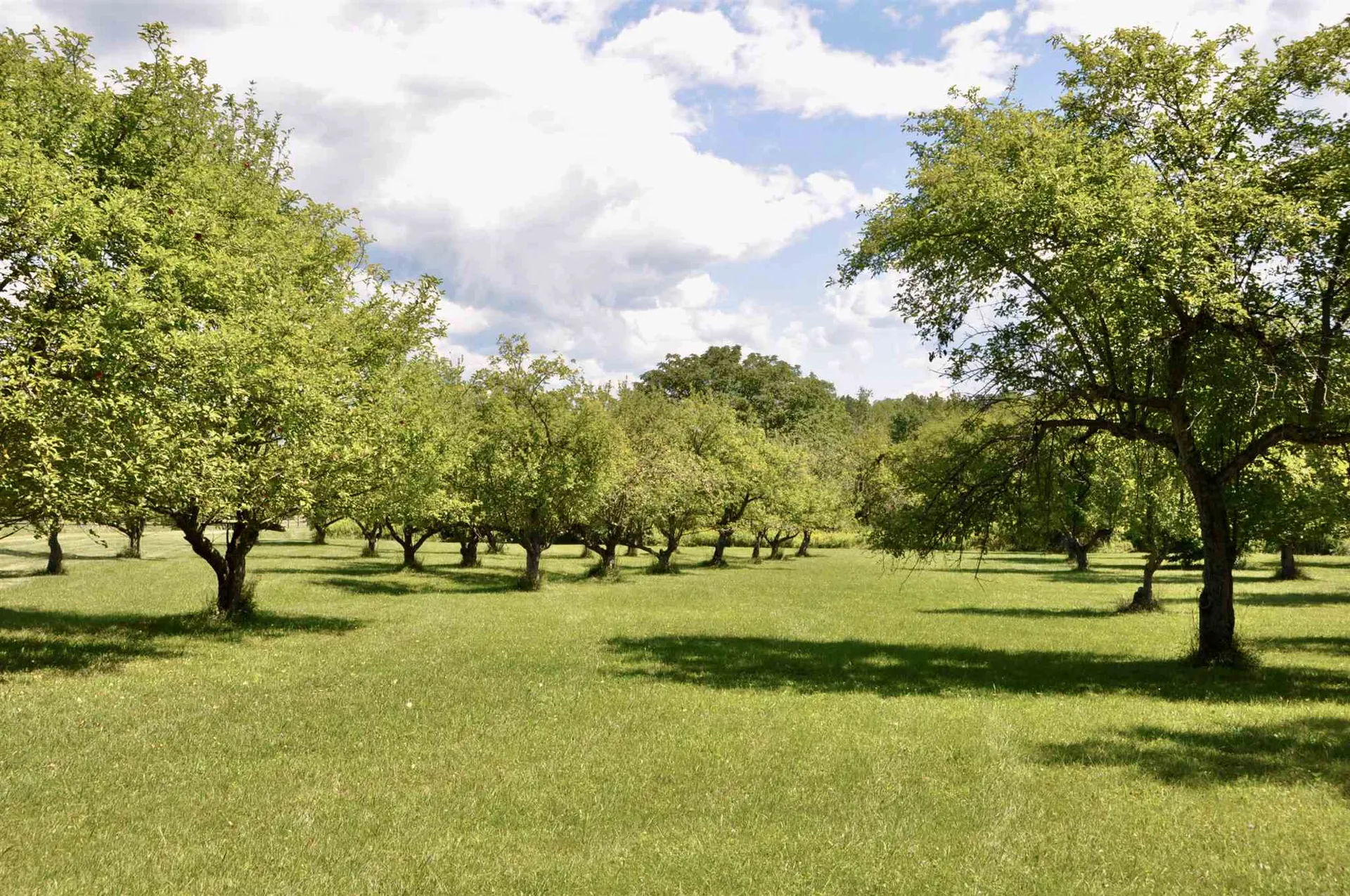 Tbd N. Bingham Street Cornwall VT 05753