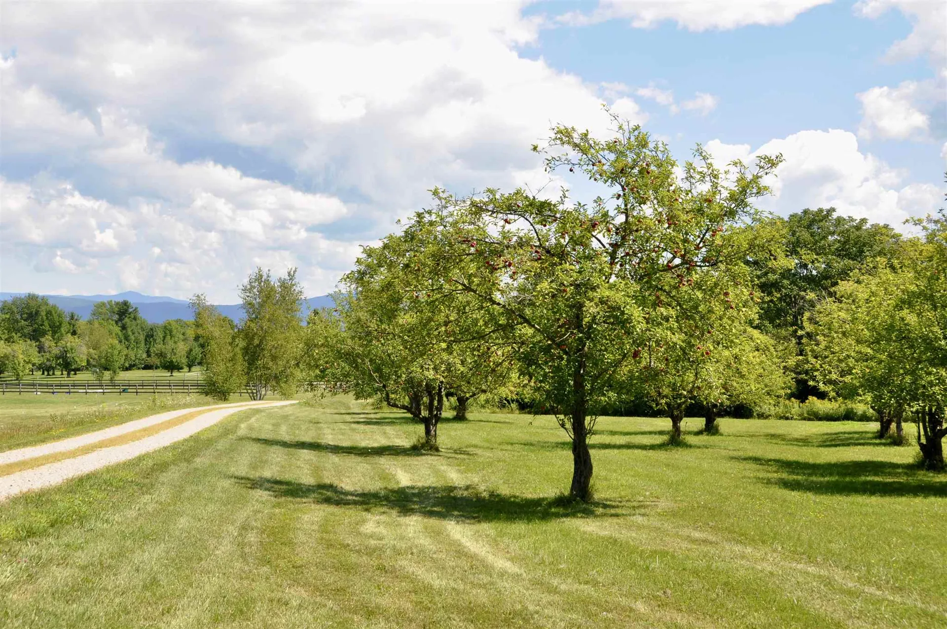 Tbd N. Bingham Street Cornwall VT 05753