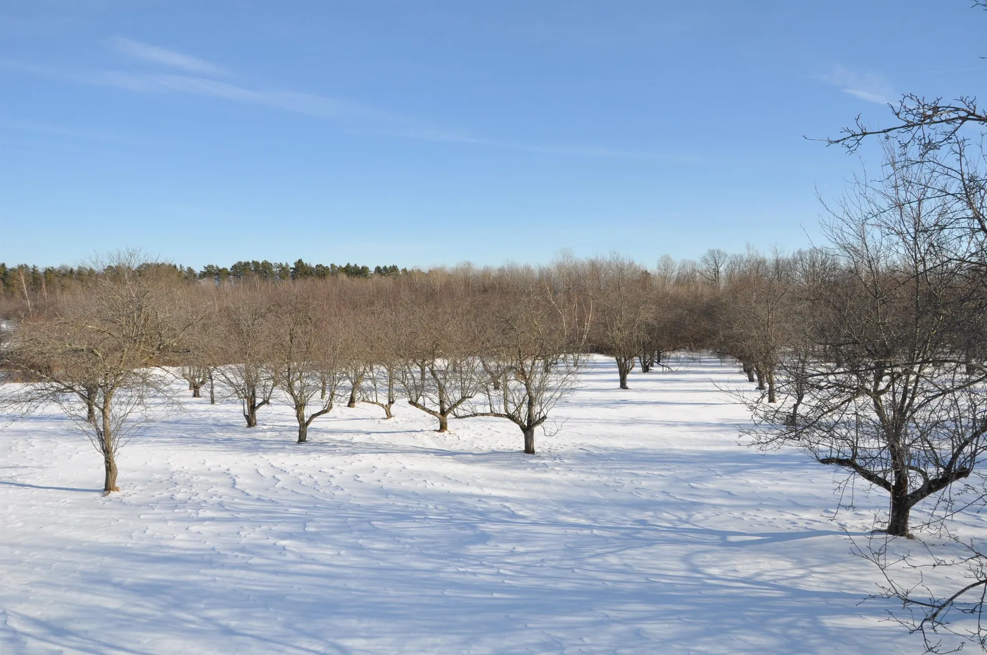 Tbd N. Bingham Street Cornwall VT 05753