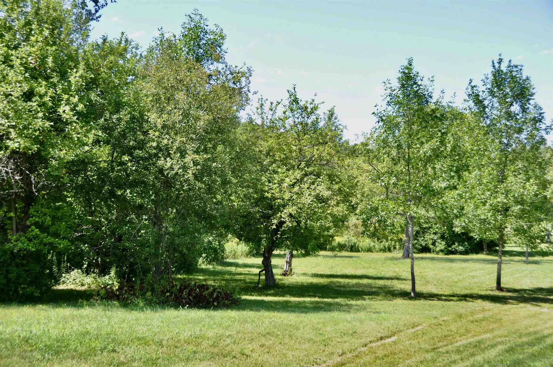 Tbd N. Bingham Street Cornwall VT 05753