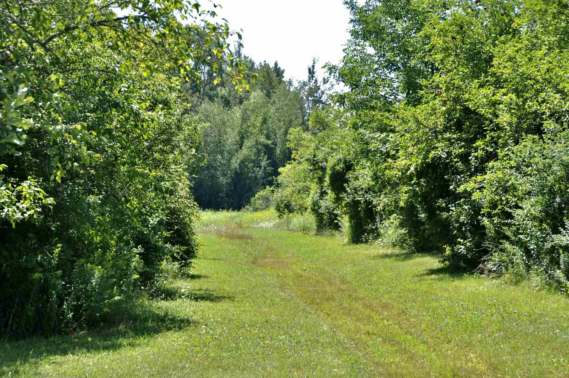 Tbd N. Bingham Street Cornwall VT 05753