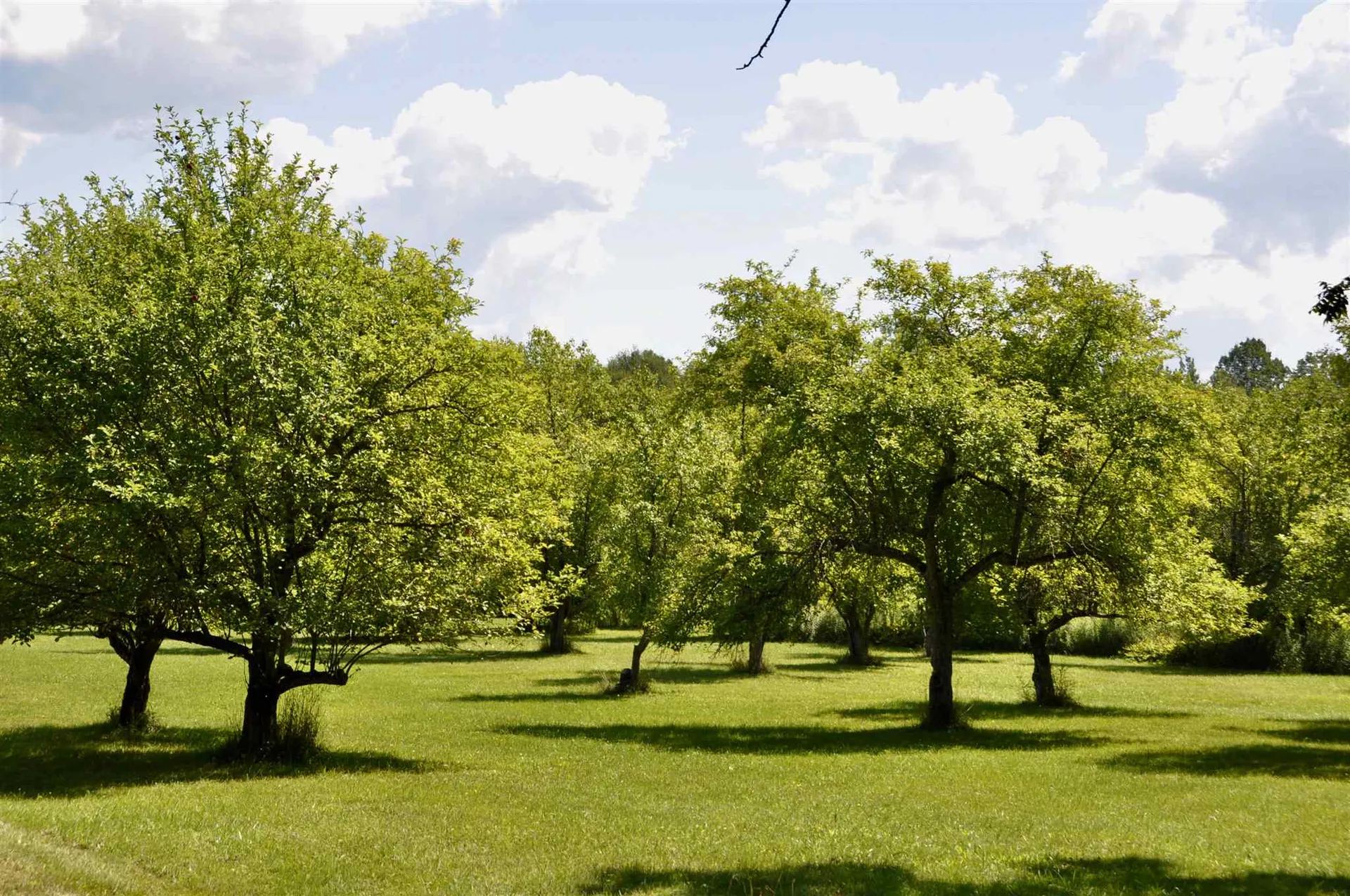 Tbd N. Bingham Street Cornwall VT 05753