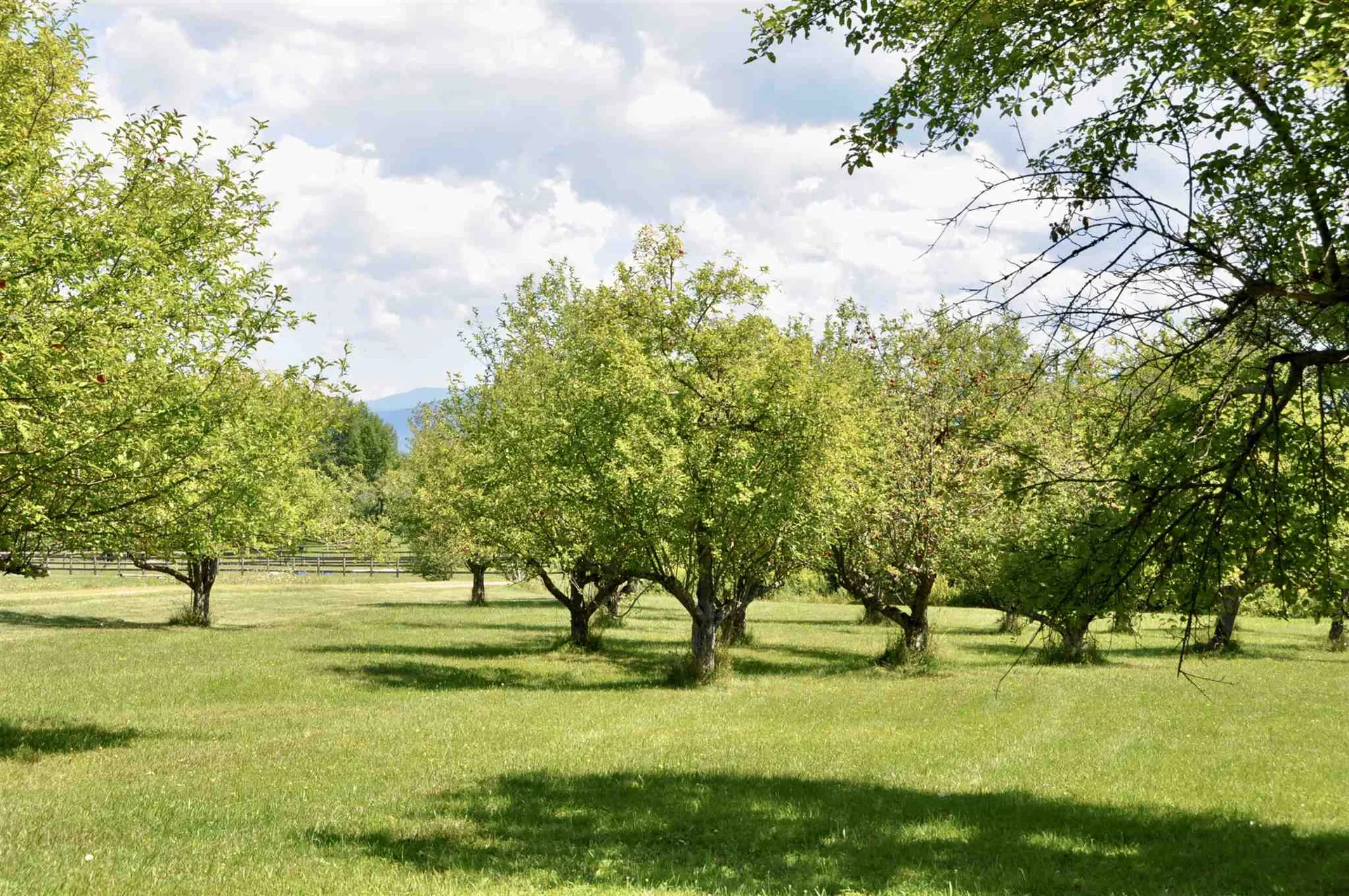 Tbd N. Bingham Street Cornwall VT 05753