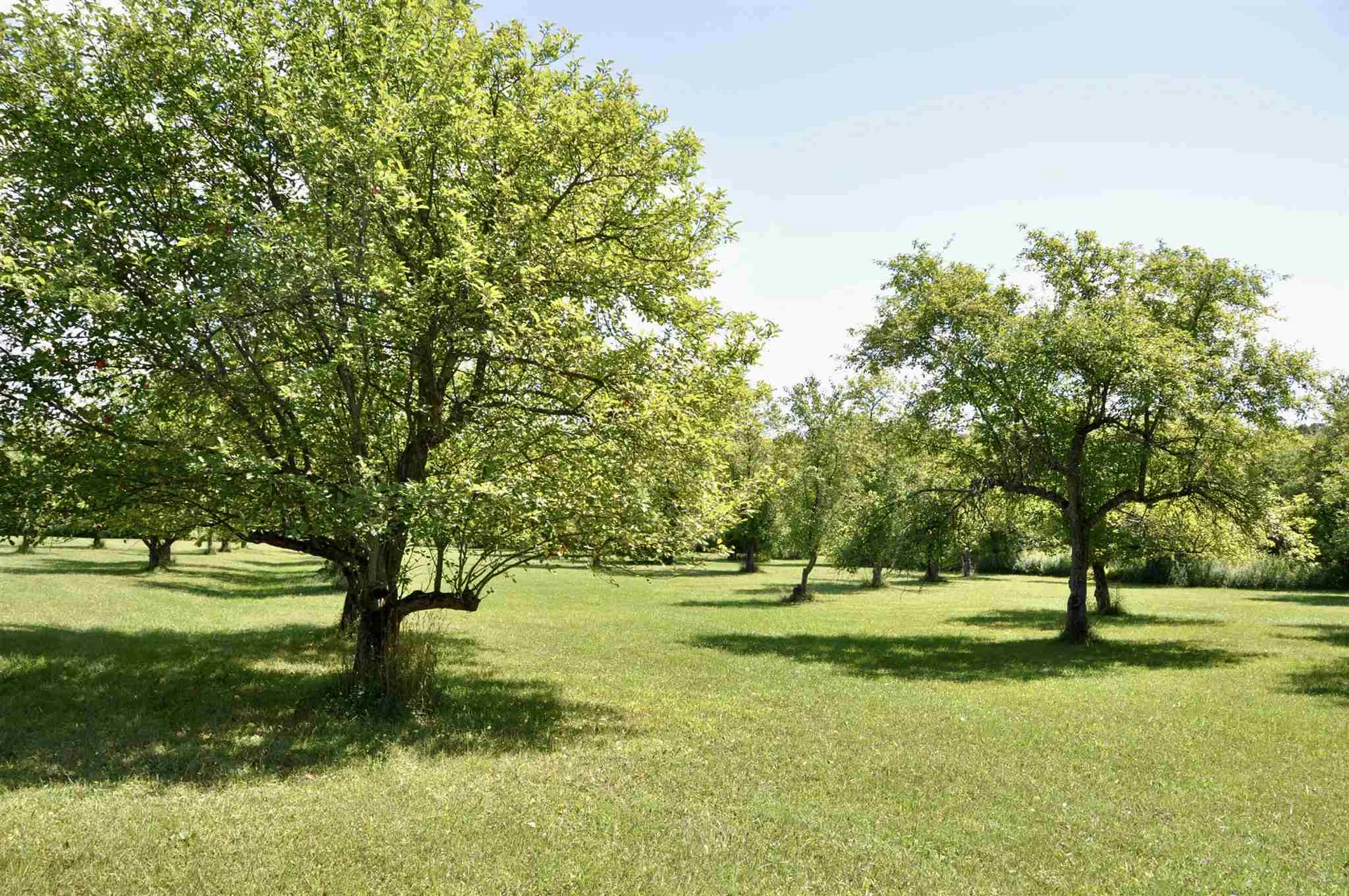 Tbd N. Bingham Street Cornwall VT 05753