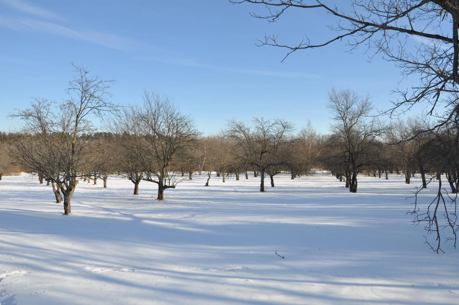 Tbd N. Bingham Street Cornwall VT 05753