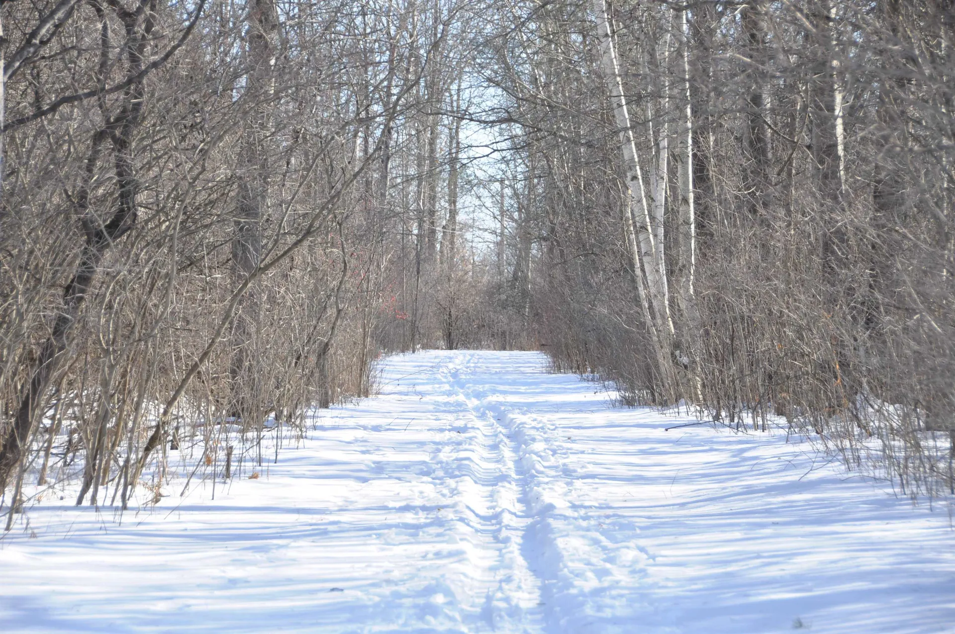 Tbd N. Bingham Street Cornwall VT 05753