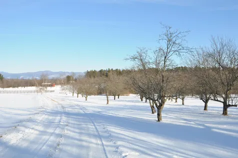 Tbd N. Bingham Street Cornwall VT 05753