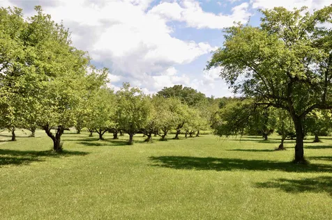 Tbd N. Bingham Street Cornwall VT 05753